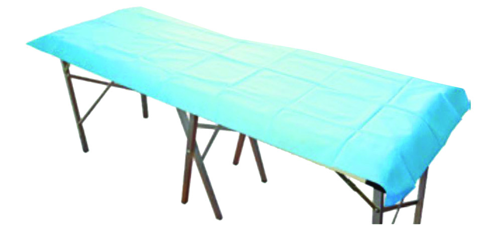 Other view of 180031 Disposable Sheet - Flat - Blue - 200 X 70Cm - (100)